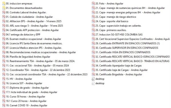 ANDRES AGUILAR PROFESIONAL SST LICENCIA 2017 BOGOTA. - Imagen 3